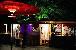 ドライブイン・シアター 江戸ワンダーランド日光江戸村｜写真2