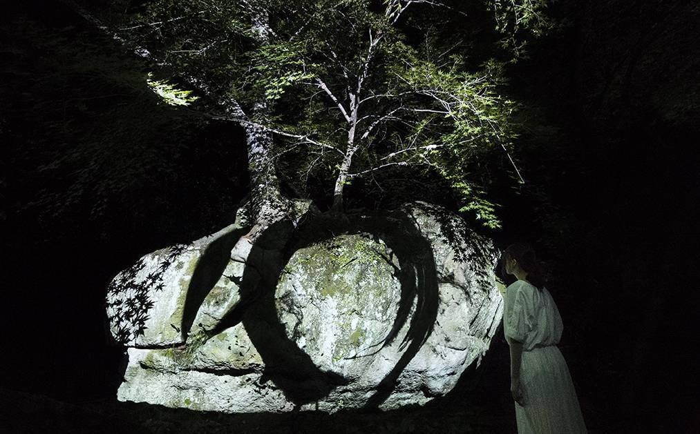 チームラボの「森の中のアート展」佐賀・御船山楽園で、自然を大胆に使ったアート作品群｜写真9