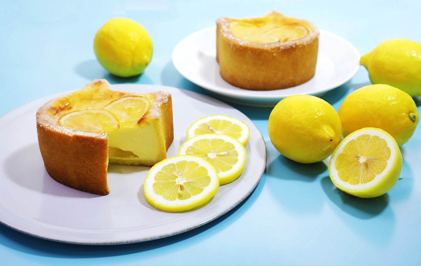ねこねこチーズケーキ(NEKO NEKO CHEESECAKE) ねこねこチーズケーキ｜写真2