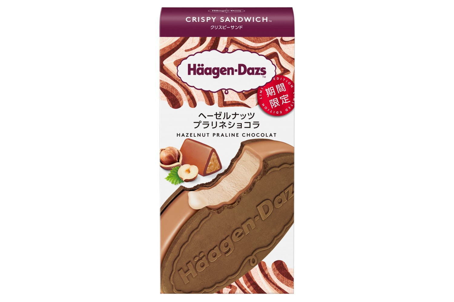 ハーゲンダッツ(Häagen-Dazs) ヘーゼルナッツプラリネショコラ｜写真1