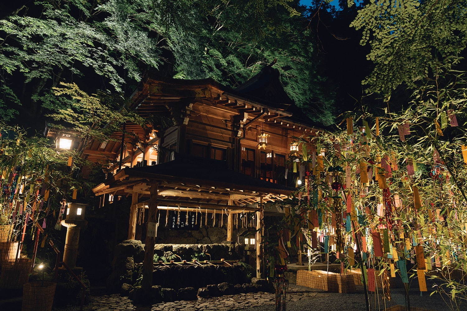 京都・貴船神社の「七夕笹飾り」色とりどりの短冊が境内に＆夜間はライトアップも｜写真1