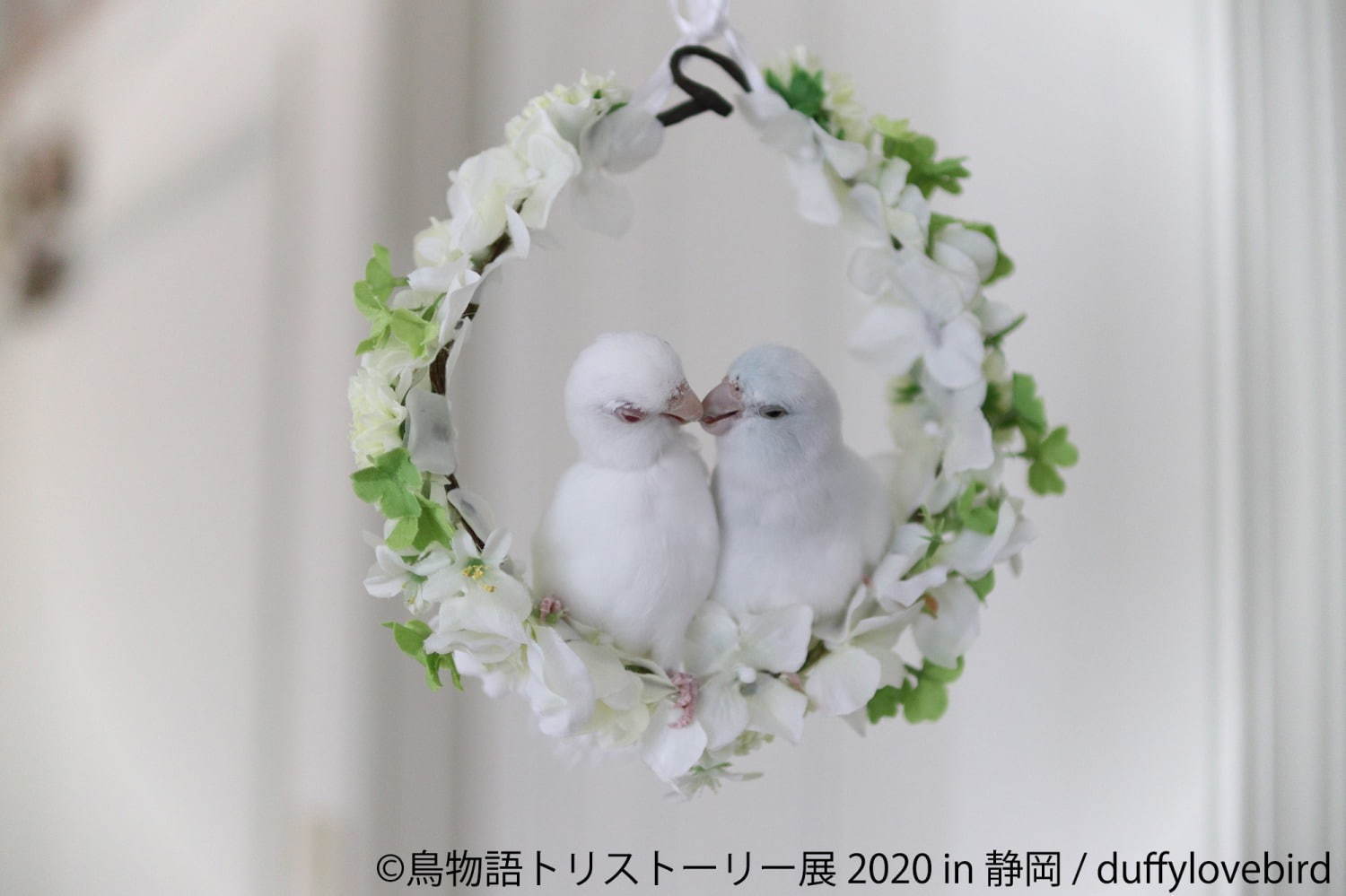 「鳥物語トリストーリー展」静岡で、“世界一小さいあひる”など鳥の写真＆ハンドメイドグッズが集結｜写真5