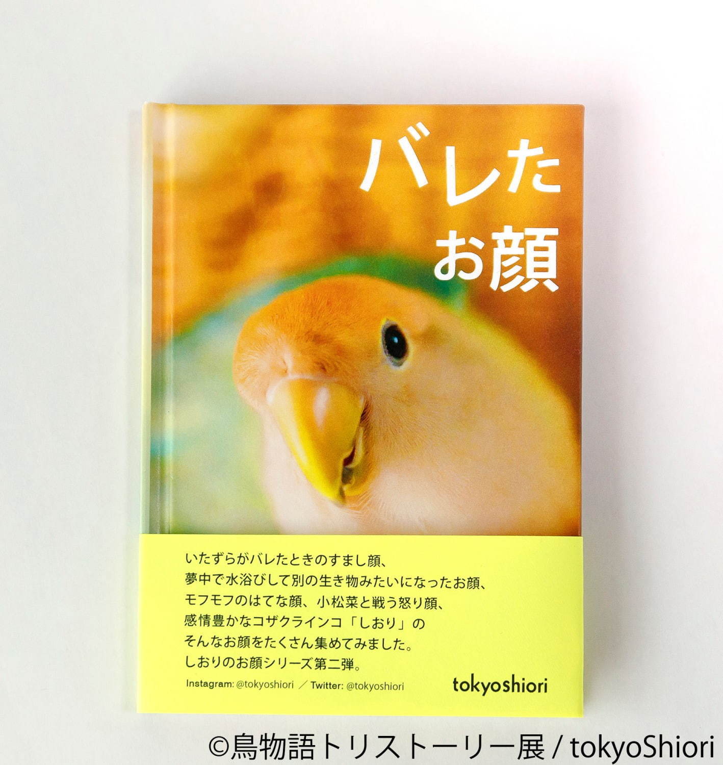 「鳥物語トリストーリー展」静岡で、“世界一小さいあひる”など鳥の写真＆ハンドメイドグッズが集結｜写真23