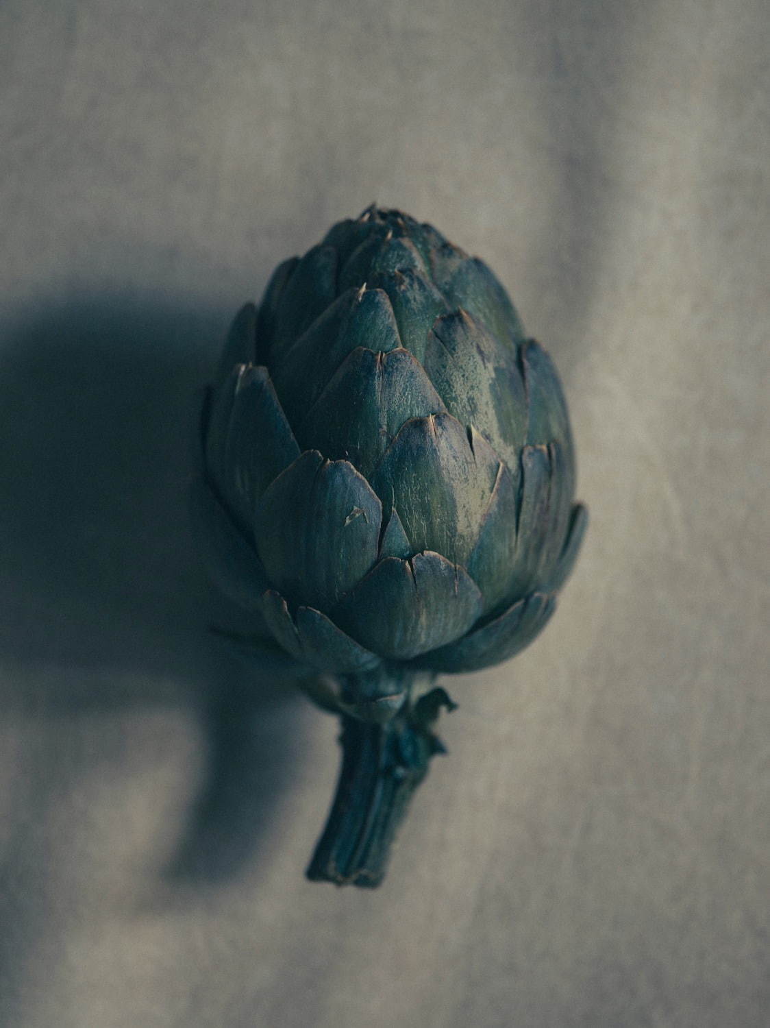 ライト(WRYHT) 2020-21年秋冬ウィメンズコレクション  - 写真19