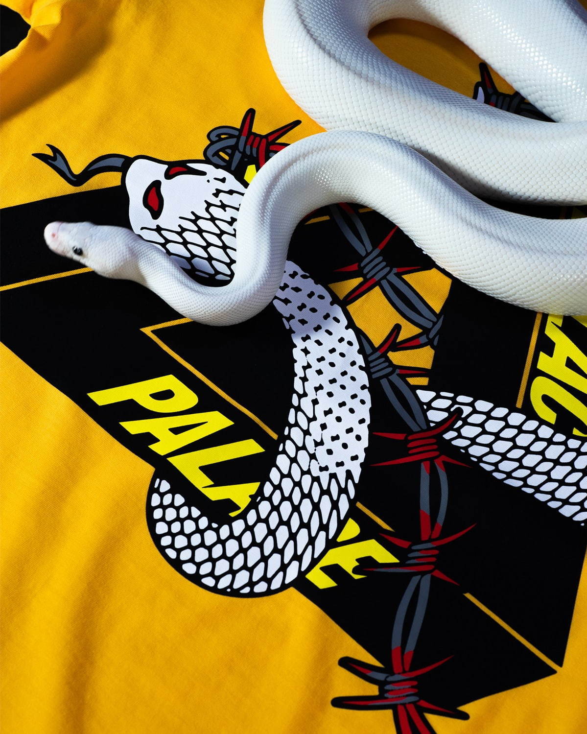 パレス スケートボードの新作Tシャツ、“蛇”“有刺鉄線”を纏ったロゴを配して - 全8色で展開｜写真17