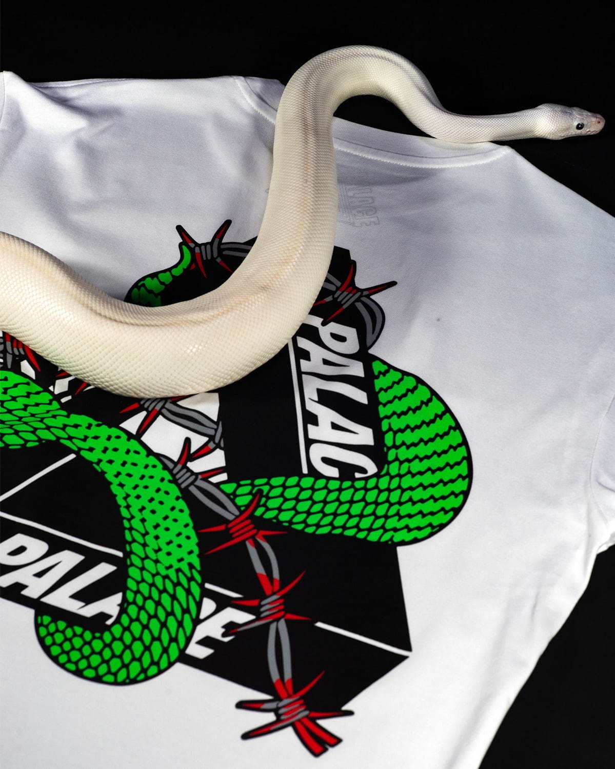 パレス スケートボードの新作Tシャツ、“蛇”“有刺鉄線”を纏ったロゴを配して - 全8色で展開｜写真19