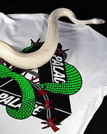 パレス スケートボードの新作Tシャツ、“蛇”“有刺鉄線”を纏ったロゴを配して - 全8色で展開｜写真19