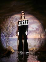 パメオポーズ(PAMEO POSE) 白鳥の湖｜写真4