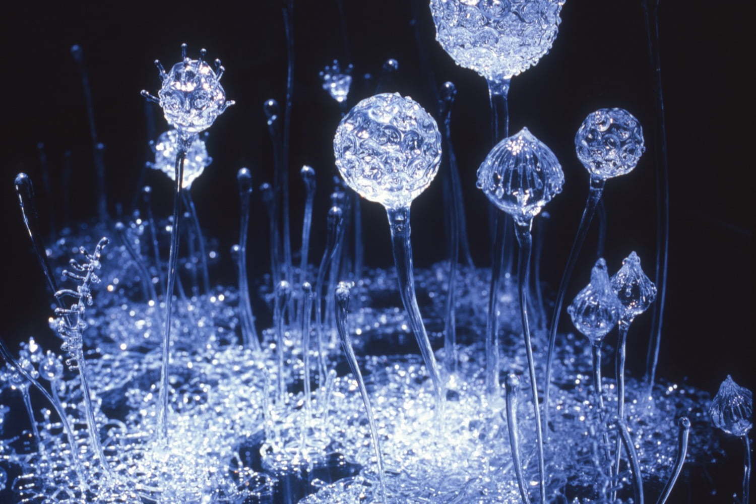 東京都庭園美術館「生命の庭」