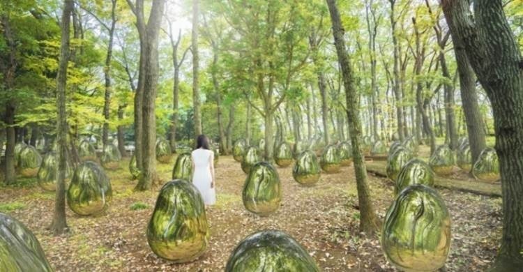 東所沢公園に「武蔵野樹林パーク」誕生、チームラボによる光×音×自然のアート常設展示｜写真2