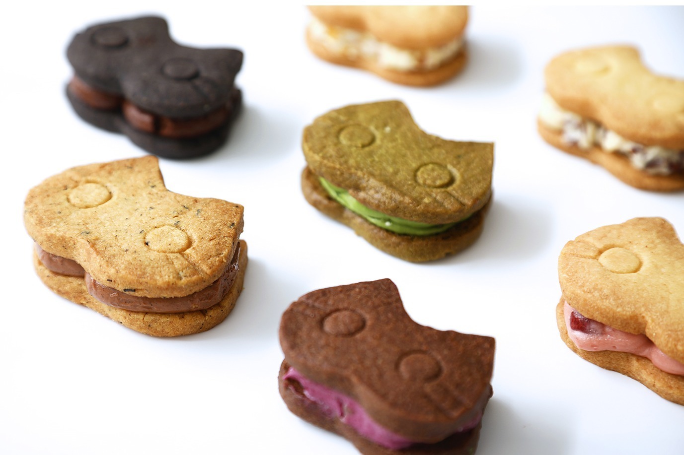 「京都ねこねこ」