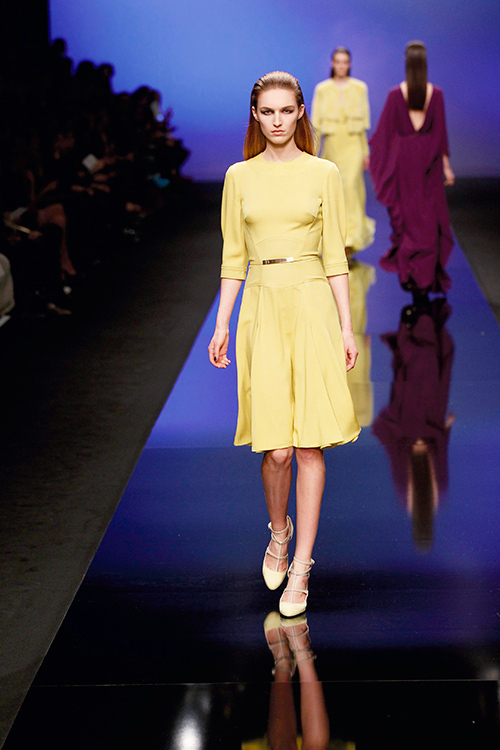 エリー サーブ(Elie Saab) 2013-14年秋冬コレクション｜写真28