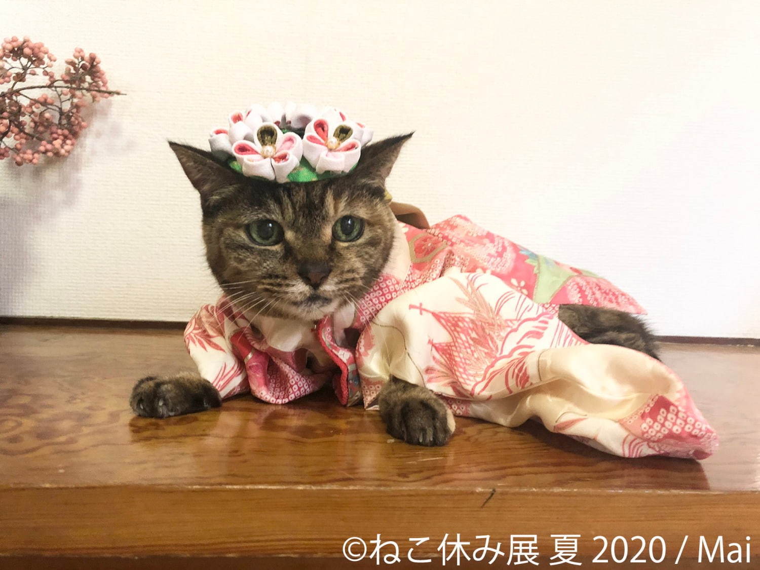 「ねこ休み展 夏 2020」東京・浅草橋で、新たな“スター猫”の作品展示が追加＆猫グッズも｜写真5
