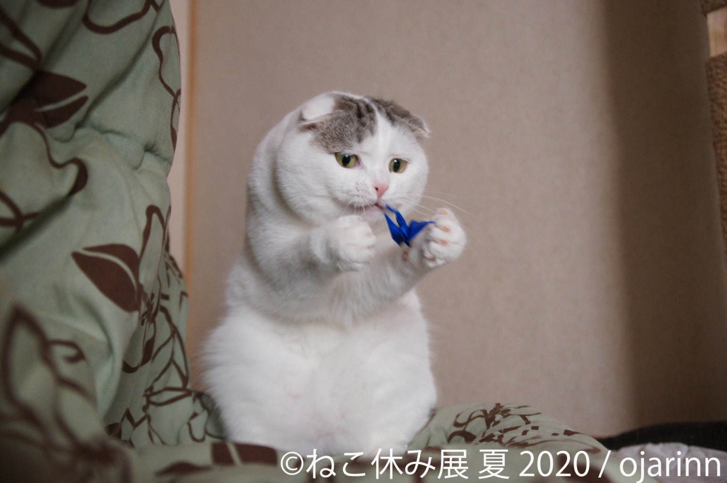 「ねこ休み展 夏 2020」東京・浅草橋で、新たな“スター猫”の作品展示が追加＆猫グッズも｜写真1