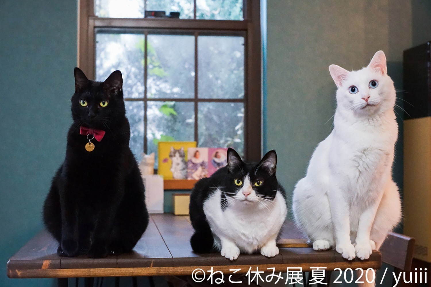 「ねこ休み展 夏 2020」東京・浅草橋で、新たな“スター猫”の作品展示が追加＆猫グッズも｜写真9