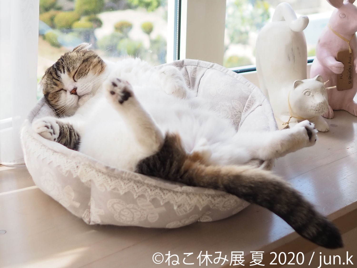 「ねこ休み展 夏 2020」東京・浅草橋で、新たな“スター猫”の作品展示が追加＆猫グッズも｜写真3