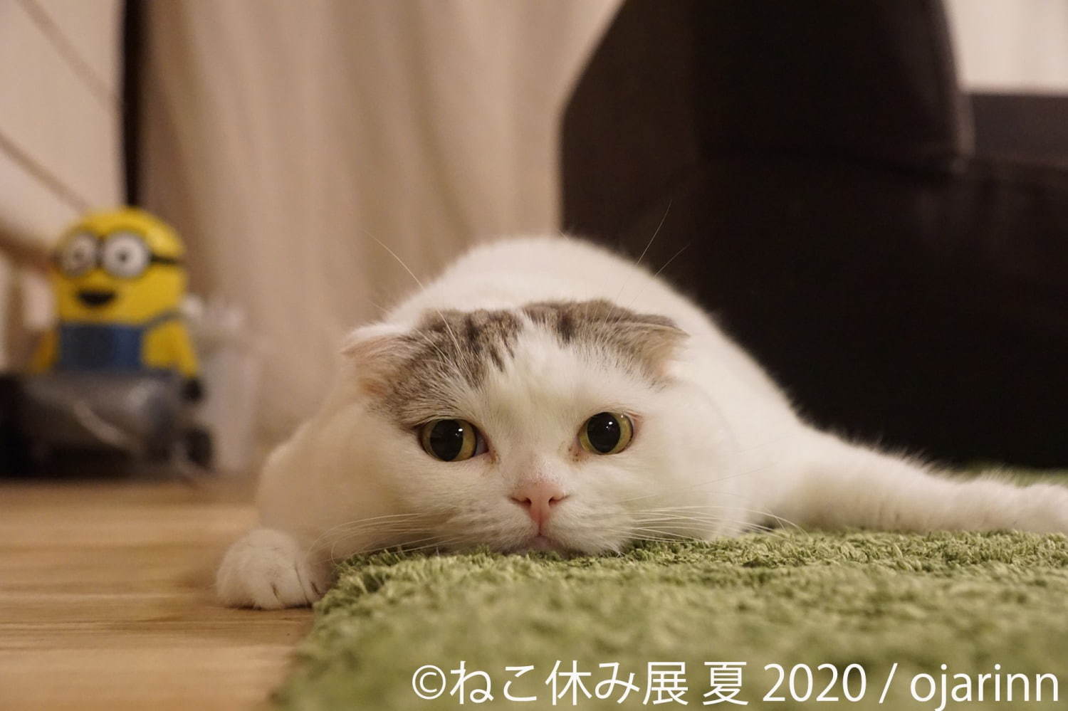 「ねこ休み展 夏 2020」東京・浅草橋で、新たな“スター猫”の作品展示が追加＆猫グッズも｜写真6