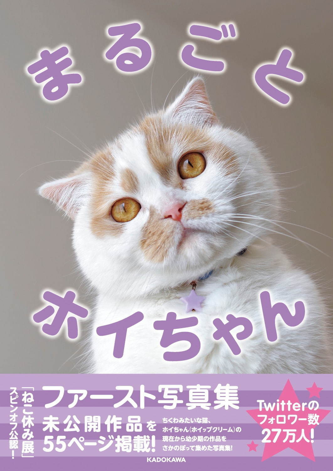 「ねこ休み展 夏 2020」東京・浅草橋で、新たな“スター猫”の作品展示が追加＆猫グッズも｜写真25