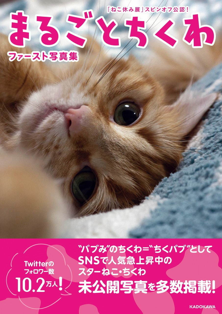 「ねこ休み展 夏 2020」東京・浅草橋で、新たな“スター猫”の作品展示が追加＆猫グッズも｜写真24