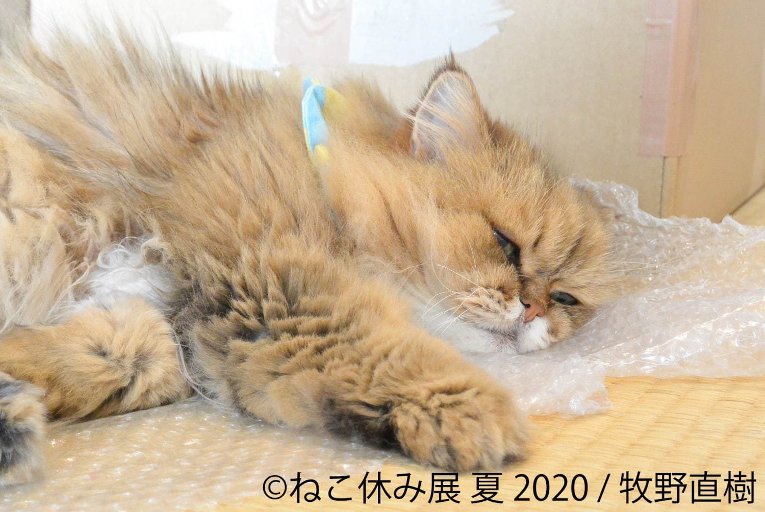 「ねこ休み展 夏 2020」東京・浅草橋で、新たな“スター猫”の作品展示が追加＆猫グッズも｜写真8