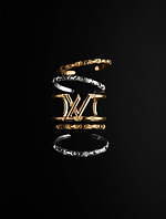 ルイ・ヴィトン(LOUIS VUITTON) LV ヴォルト｜写真34