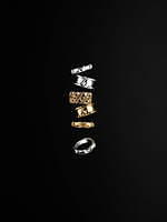 ルイ・ヴィトン(LOUIS VUITTON) LV ヴォルト｜写真35