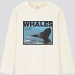 ユニクロ(UNIQLO) UT｜写真9