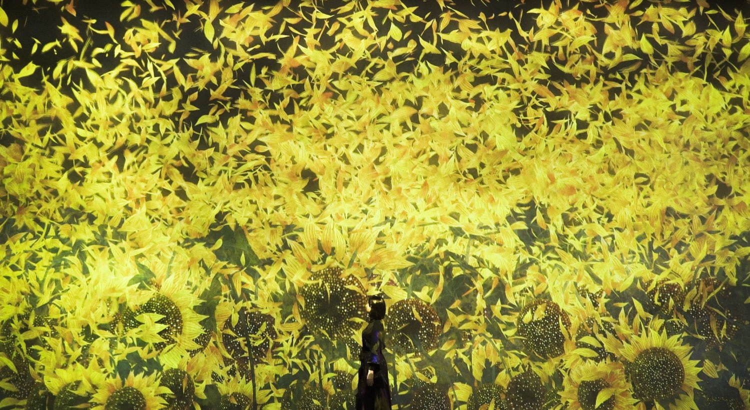 増殖する無量の生命 / Proliferating Immense Life - A Whole Year per Year teamLab, 2020, Interactive Digital Installation, Sound: Hideaki Takahashi