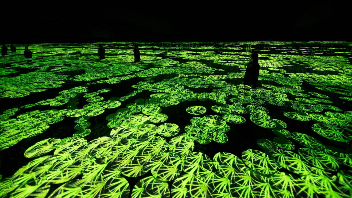 チームラボ“約10万本のひまわり”が咲き誇る新作展示、お台場・チームラボボーダレスで｜写真12