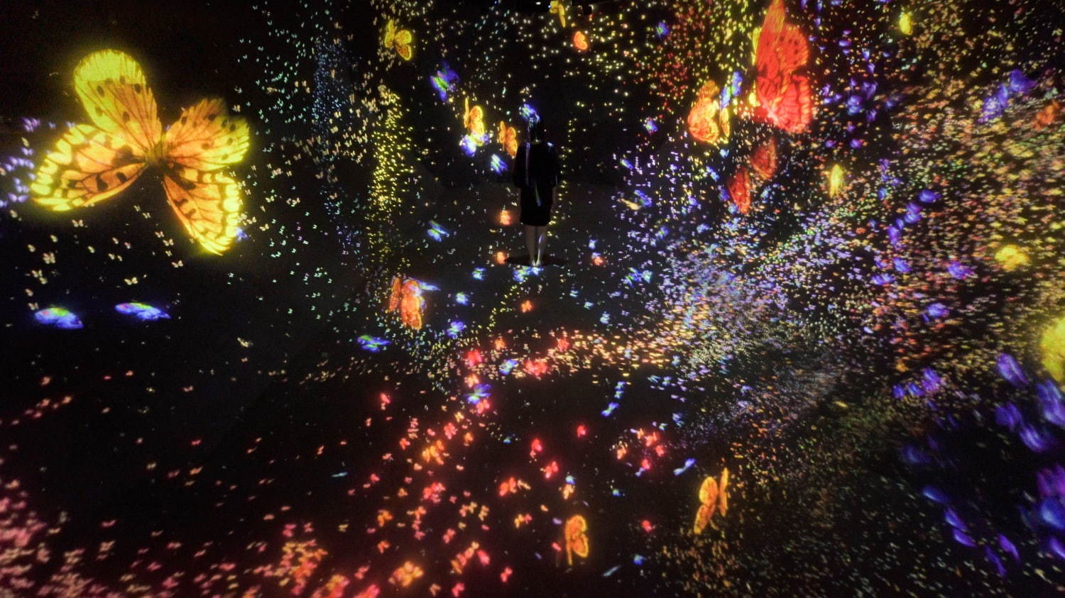 境界のない群蝶、 超越する空間 / Flutter of Butterflies Beyond Borders, Transcending Space
teamLab, 2019, Digital Installation, Endless, Sound: Hideaki Takahashi