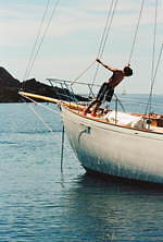 パレス スケートボード×アディダス、ビビッドオレンジのスニーカーやハーフパンツなど夏ウェア｜写真8