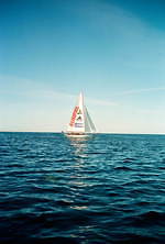 パレス スケートボード×アディダス、ビビッドオレンジのスニーカーやハーフパンツなど夏ウェア｜写真2