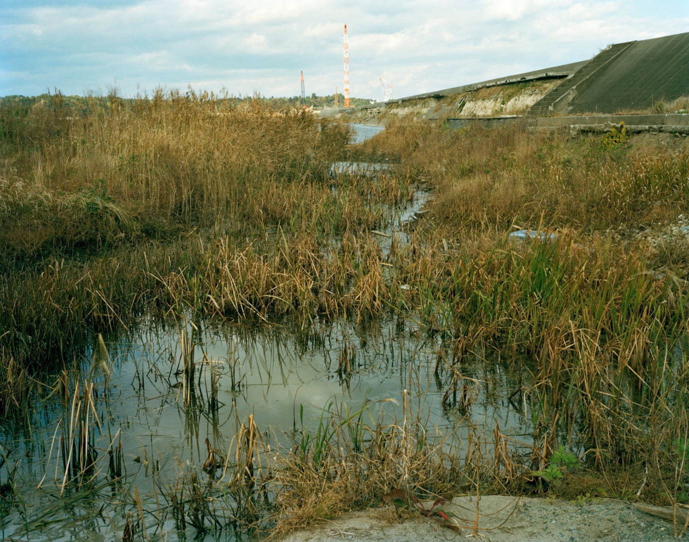 露口啓二「自然史」より《東北太平洋岸・南相馬市・井田川浦》2015、発色現像方式印画