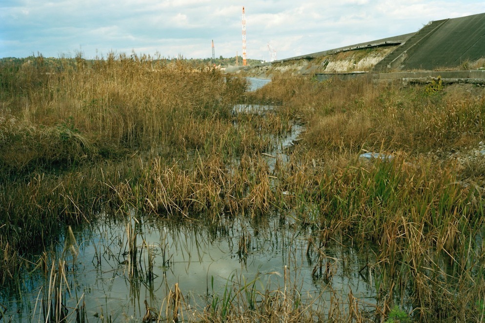 水戸芸術館「道草展：未知とともに歩む」