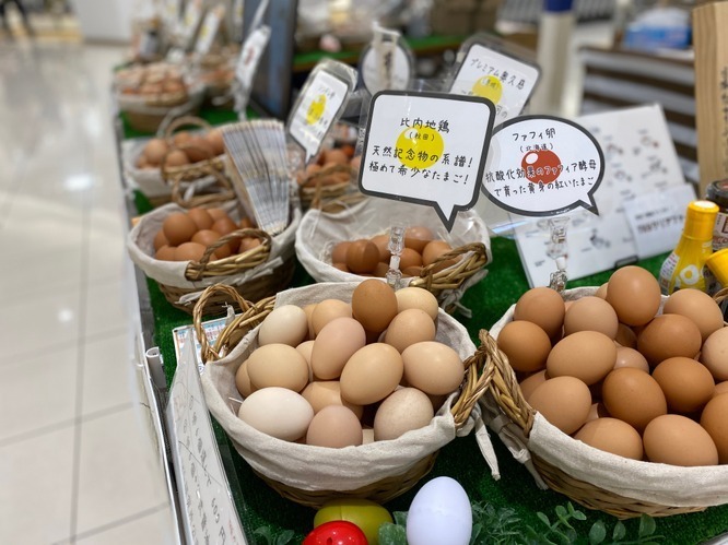 全国の“レア卵”が集結する「幻の卵屋さん」東京駅に、ユズの香る卵＆真っ赤な黄身入りなど全40種類｜写真4