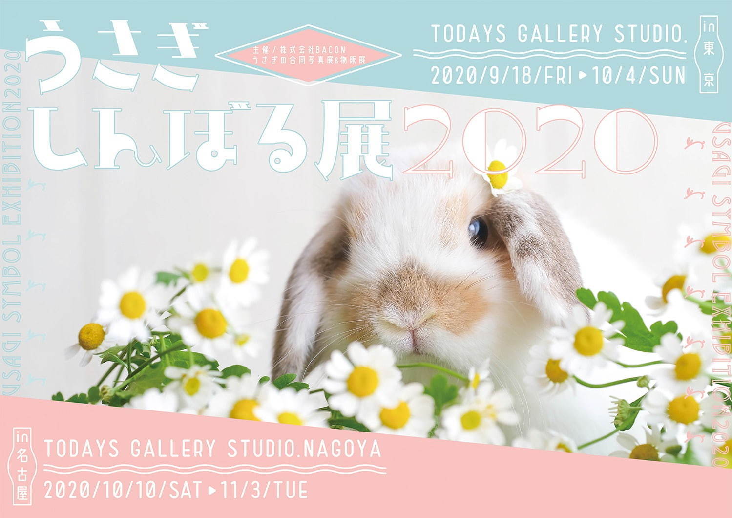 うさぎの合同写真展「うさぎしんぼる展」東京・名古屋で、過去最大規模の作品展示＆グッズ販売も｜写真26