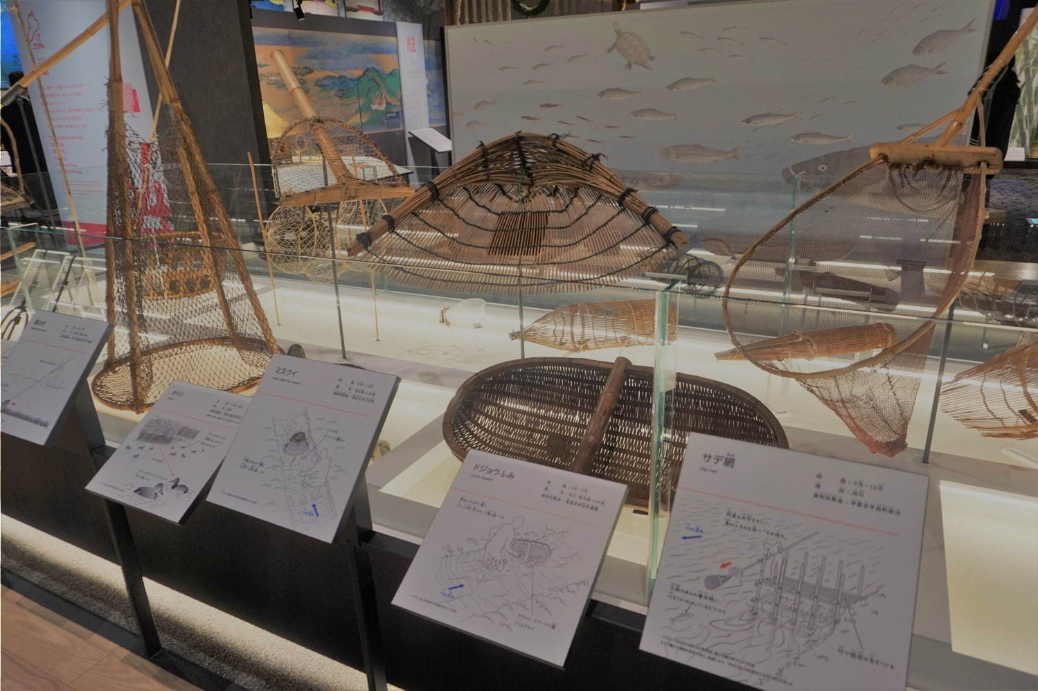 琵琶湖博物館がリニューアルオープン、400万年前の“琵琶湖と生き物”の変化を辿る新展示室など｜写真23
