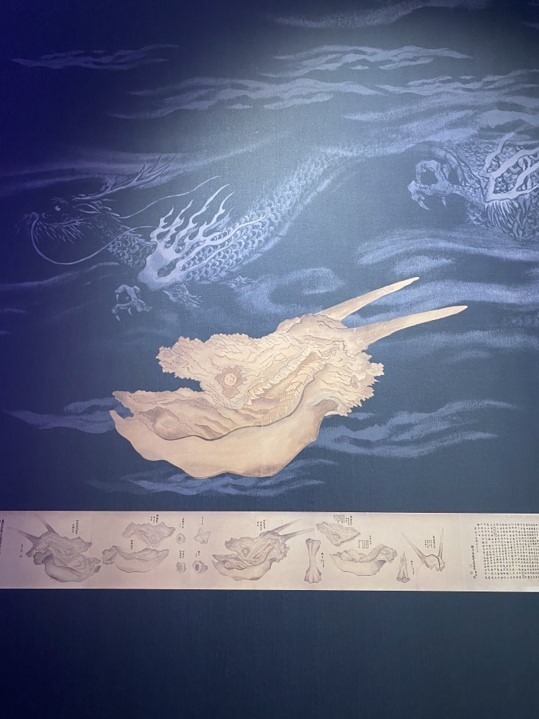 琵琶湖博物館がリニューアルオープン、400万年前の“琵琶湖と生き物”の変化を辿る新展示室など｜写真28