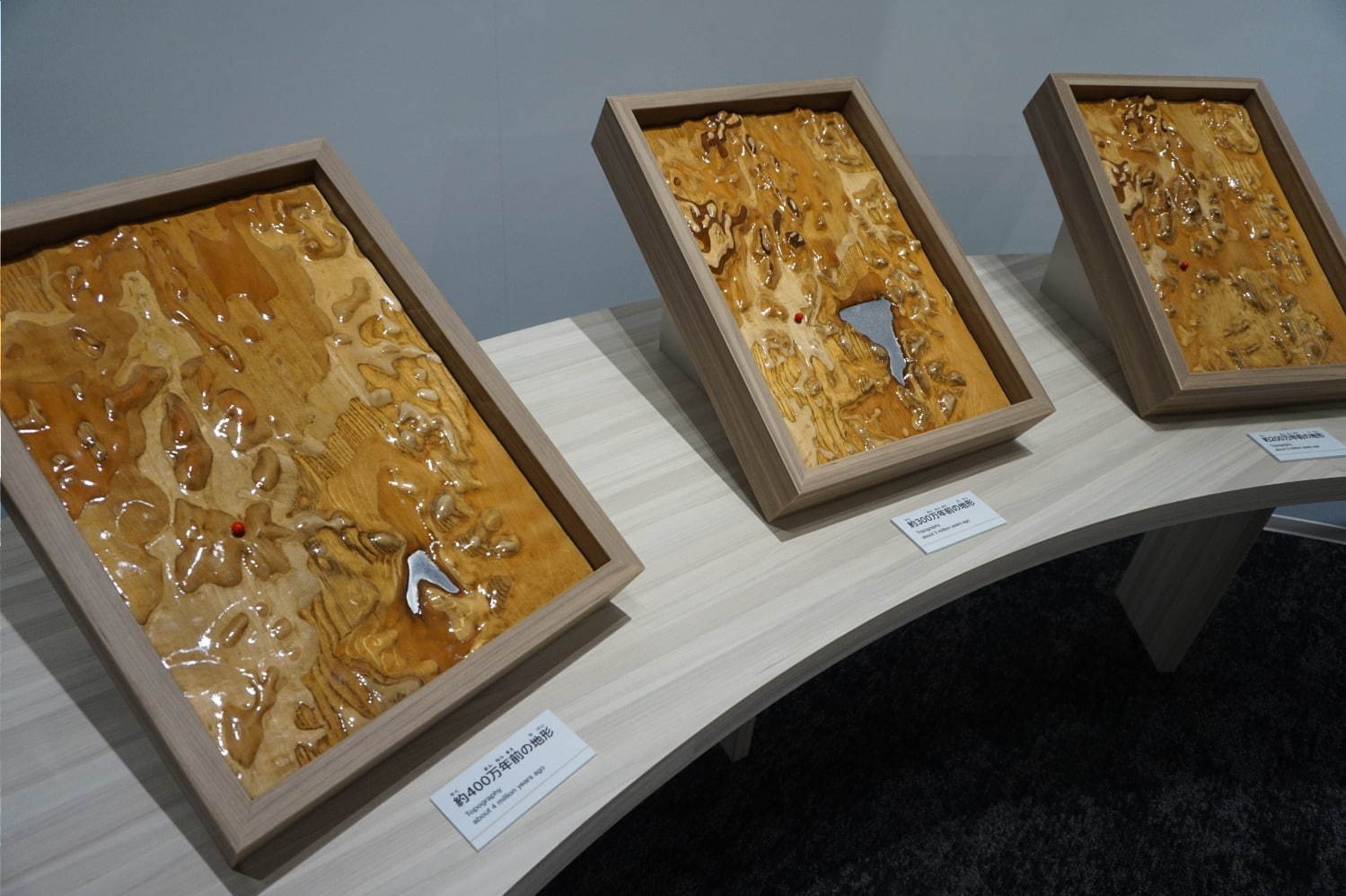 琵琶湖博物館がリニューアルオープン、400万年前の“琵琶湖と生き物”の変化を辿る新展示室など｜写真18