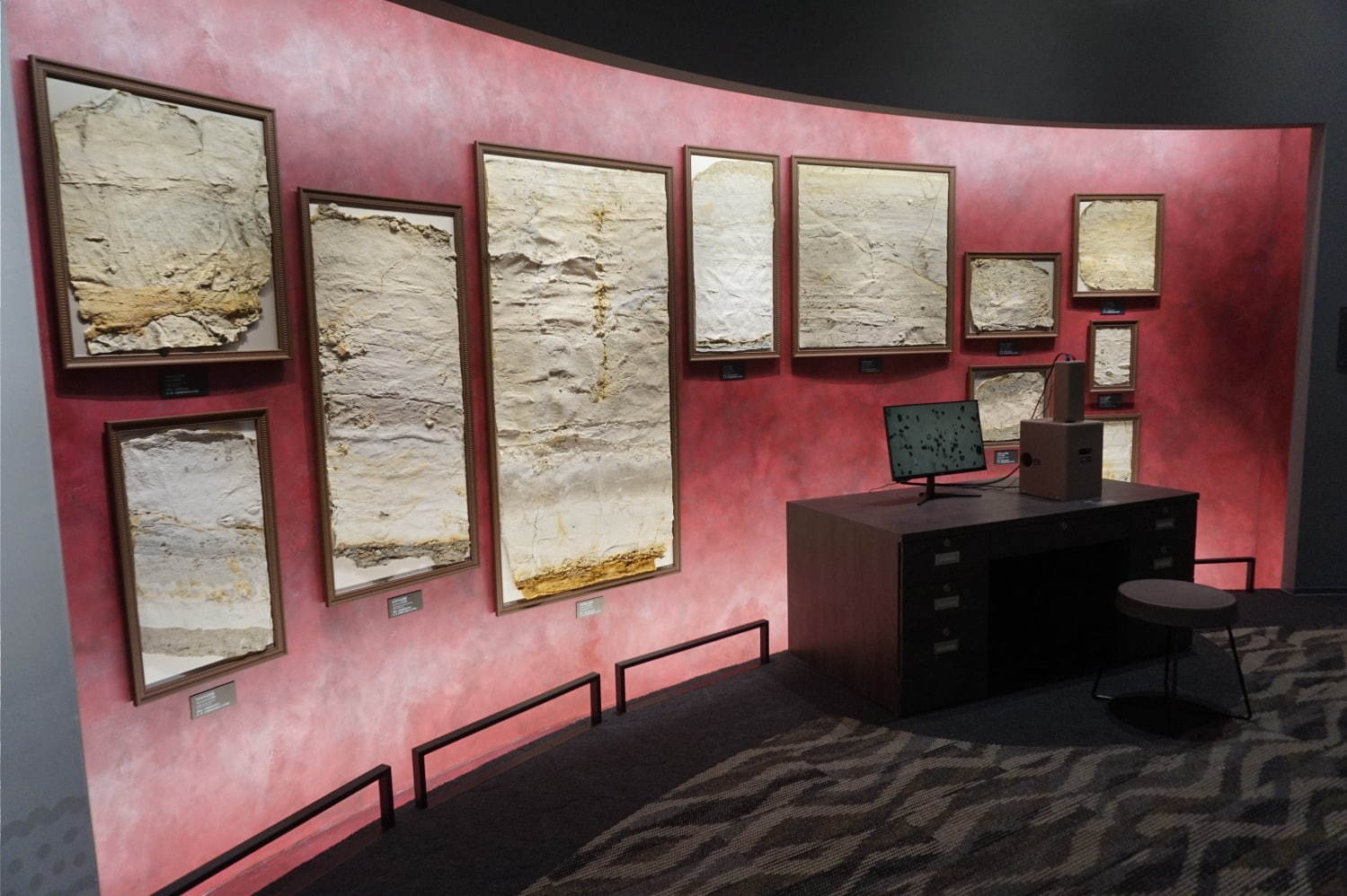 琵琶湖博物館がリニューアルオープン、400万年前の“琵琶湖と生き物”の変化を辿る新展示室など｜写真15
