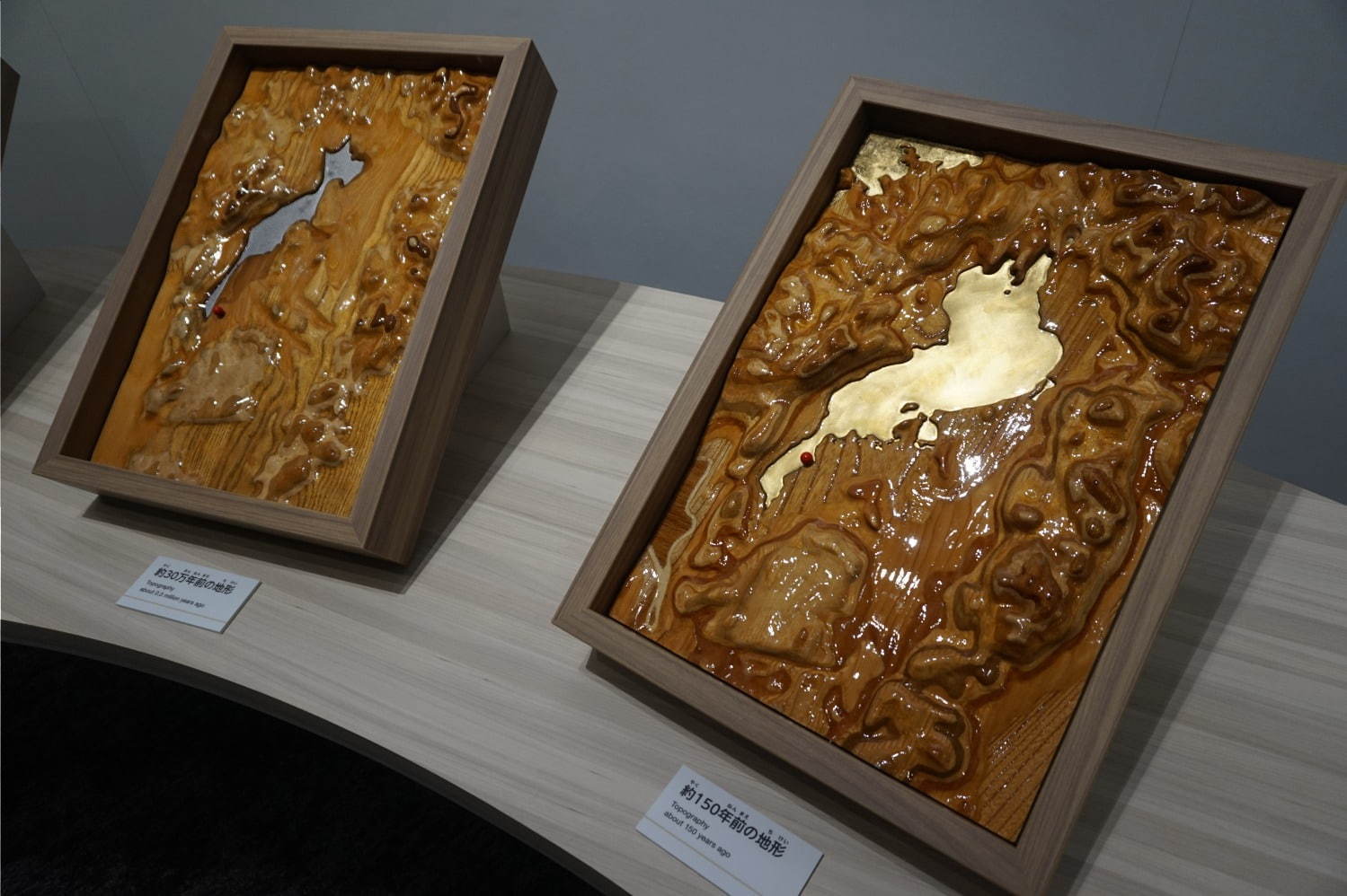 琵琶湖博物館がリニューアルオープン、400万年前の“琵琶湖と生き物”の変化を辿る新展示室など｜写真19