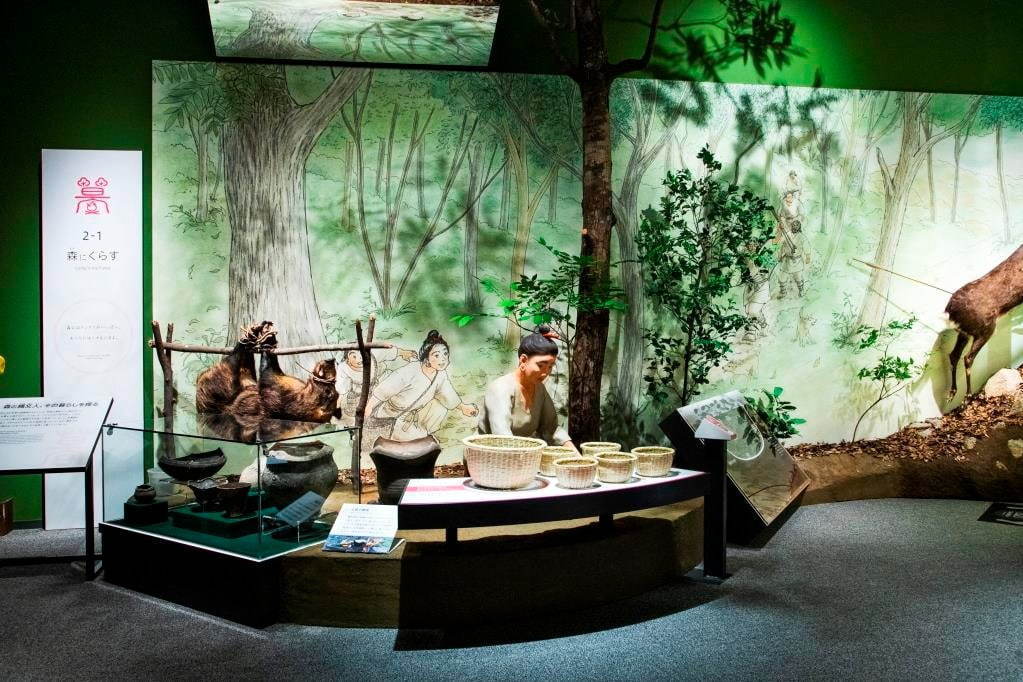 琵琶湖博物館がリニューアルオープン、400万年前の“琵琶湖と生き物”の変化を辿る新展示室など｜写真11