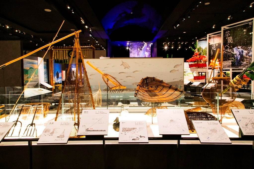 琵琶湖博物館がリニューアルオープン、400万年前の“琵琶湖と生き物”の変化を辿る新展示室など｜写真13