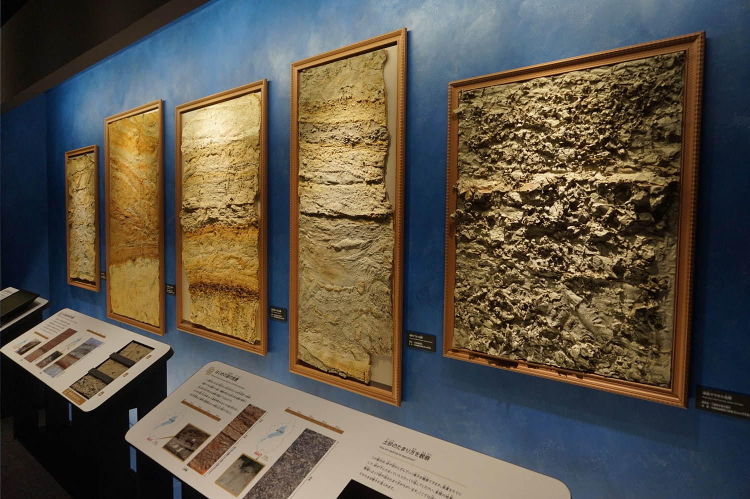 琵琶湖博物館がリニューアルオープン、400万年前の“琵琶湖と生き物”の変化を辿る新展示室など｜写真14