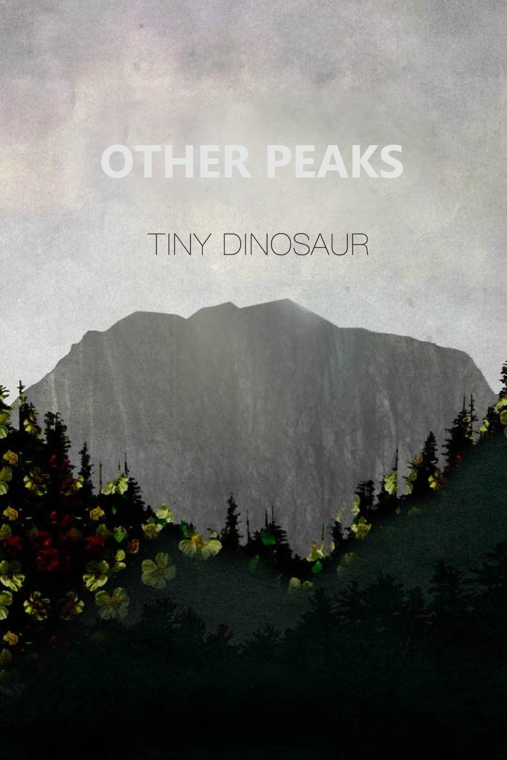 タイニーダイナソー(tiny dinosaur) 2020年春夏ウィメンズコレクション  - 写真28