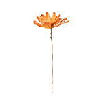 フランフラン“ボヘミアンの一軒家”着想のインテリア、幾何学柄ラグ＆花刺繍ジュエリーボックス｜写真28