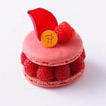 ザ・リッツ・カールトン大阪×ピエール・エルメ・パリの アフタヌーンティー、テイクアウトスイーツも｜写真4