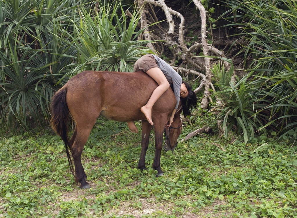 銀座メゾンエルメス フォーラムで“馬と人の関係を紐解く”写真家シャルロット・デュマの展覧会｜写真5