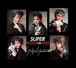 ヨウジヤマモト(Yohji Yamamoto) オオカミくんには騙されない｜写真6