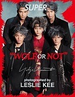 ヨウジヤマモト(Yohji Yamamoto) オオカミくんには騙されない｜写真8